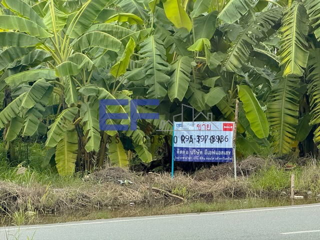 ขายที่ดิน 1ไร่239ตร.ว ติดถนนเอกอุดร เมืองเอกโครงการ1 รังสิต